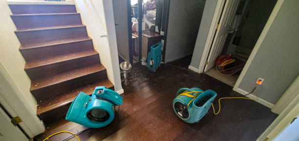 Best Ceiling water damage repair  in Kirby, TX