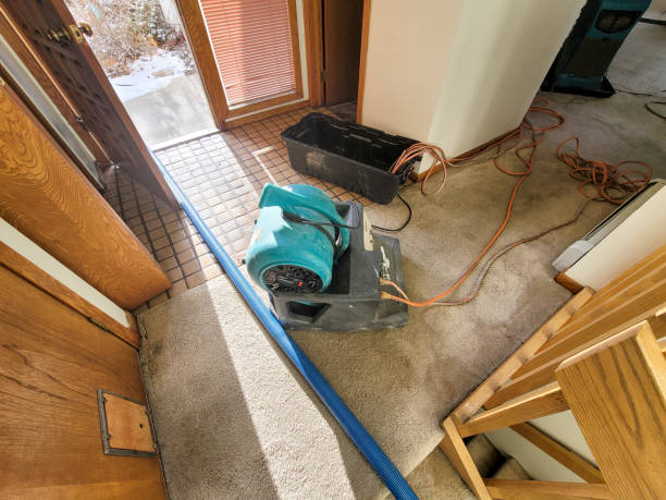 Best Sewage cleanup and water damage restoration  in Kirby, TX