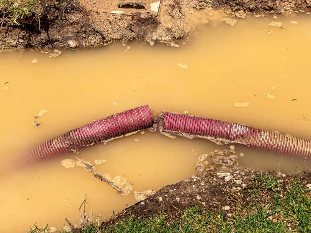 Best 24-hour water damage restoration  in Kirby, TX